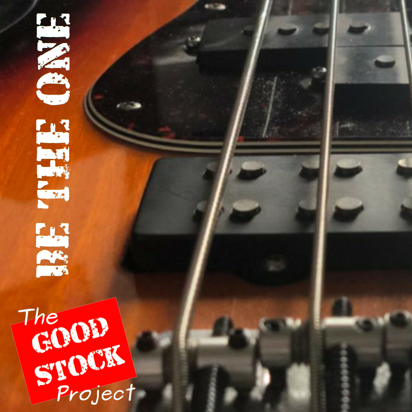 The Goodstock Project - Be The One